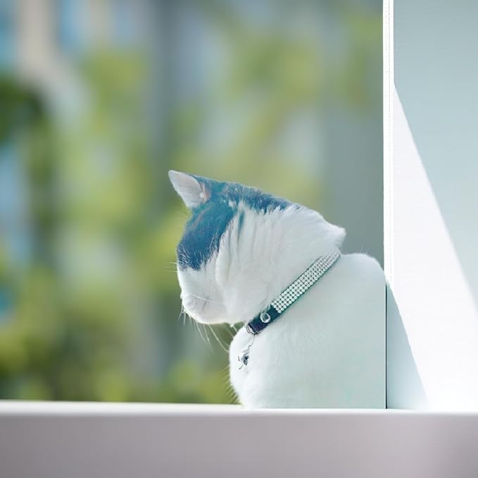 Pack of 2 Rhinestone Cat Collar Breakaway with Bell Safety Buckle, Adjustable Diamond Girl Boy Kitty Cute Comfy Collar for Kitten Tiny Little Pets Rabbits, 6"-9" Extra Small