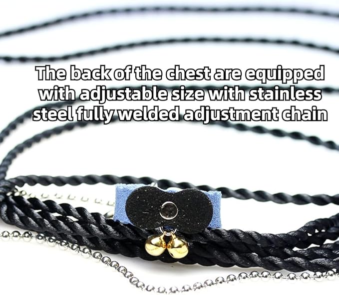 Squirrel Chipmunk Traction Rope Strap Anti-Biting Chain Rope, Small Animal Walking Collar Harness with Lead Leash for Hamster Gerbil Rat Mouse Ferret Chinchilla (Black with Blue)