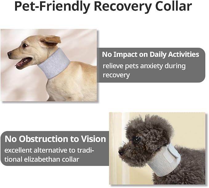 MANON ROSA Cat Neck Brace Elizabethan Collar for Pet After Surgery Recovery Adjustable Breathable Neck Cervical Cone for Small Medium Dogs Puppies Kittens with Spinal IVDD Issues (M 5.9-12.6",Grey)