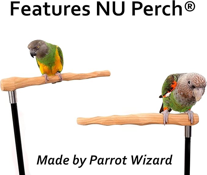 Parrot Training Perch Kit (Standard, Small)