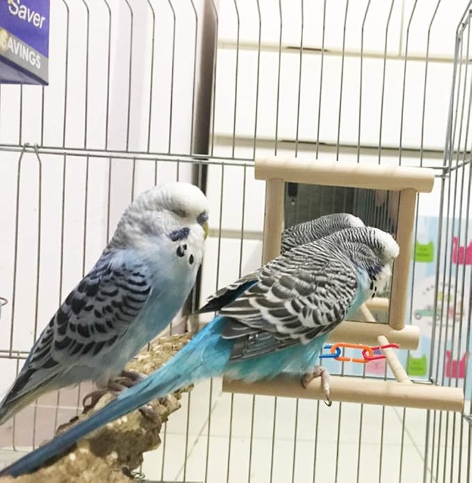 Bird Mirror Wooden Hanging Swing Interactive Play Toys for Small Parrot Budgies Macaw African Grey Parakeet Cockatiel Conure Lovebird Cage Accessories (Bird Mirror Perch Stand-ONE)