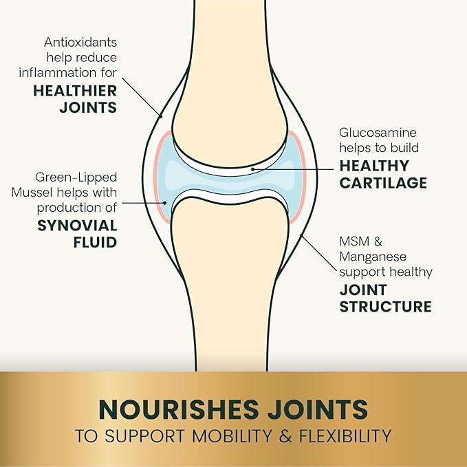 VetriScience GlycoFlex Ultimate Strength Healthy Hip & Joint Glucosamine Supplements for Dogs, with MSM, Chondroitin & Green-Lipped Mussel, Soft Chews, Bacon, 120 Count - New Look