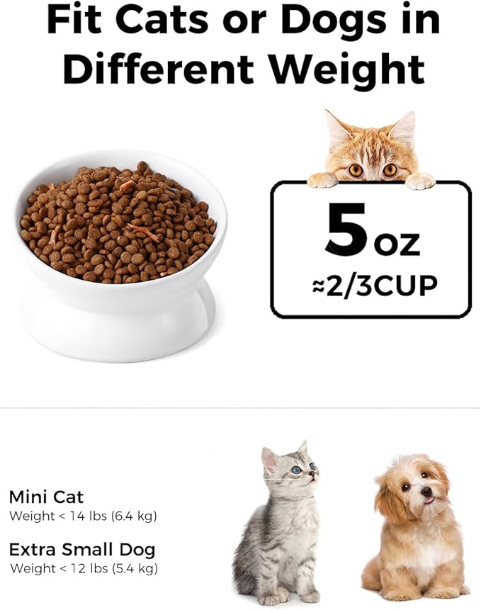 LoeJan Elevated Cat Food Bowl, 5 Oz Ceramic Raised and Tilted Water Bowl, Anti Vomiting and Protect Pets' Spines Dishes for Small Dog, Fat Faced Cat, Kitten (White, 1 Pack)