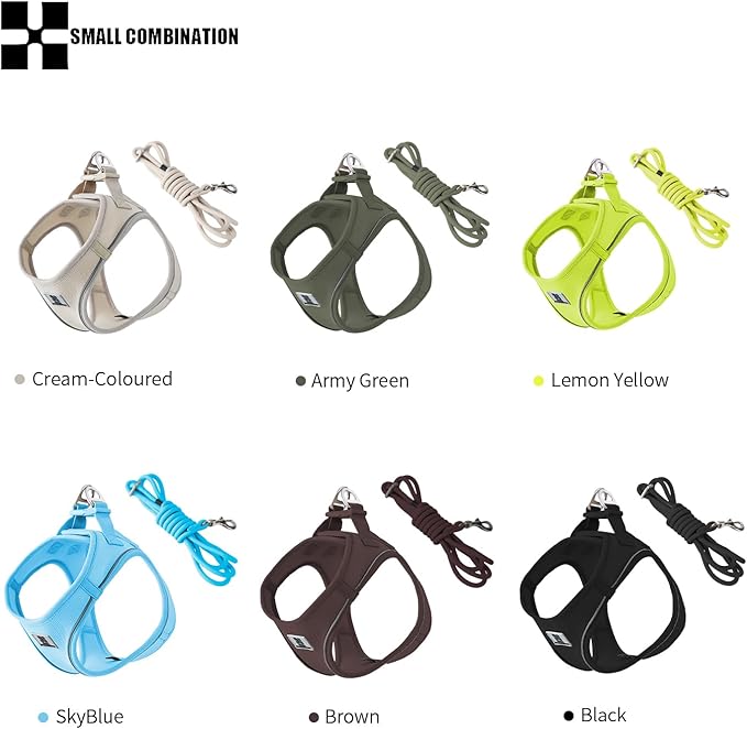 Adjustable Dog Harness with Leash, Reflective Mesh, No-Pull Design，Matching Lead Rope (Cream-Coloured, XXXS)