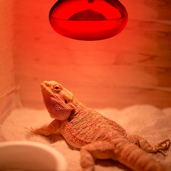 Aiicioo Reptile Red Night Light Bulb - 150W Reptile Heat Lamp Bulb Infrared Basking Spot Lamp for Bearded Dragon Lizard Turtle Hermit Crab Leopard Gecko Snake Chameleon Tank