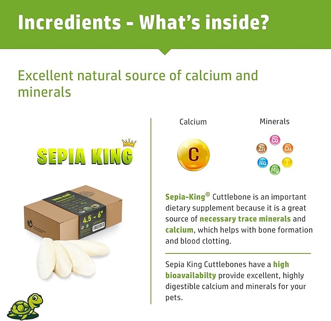 Medium - 100% Natural Calcium Supplement - Premium Cuttlebone Perfect for Birds, Tortoises, Snails, Reptiles - 12 Pack