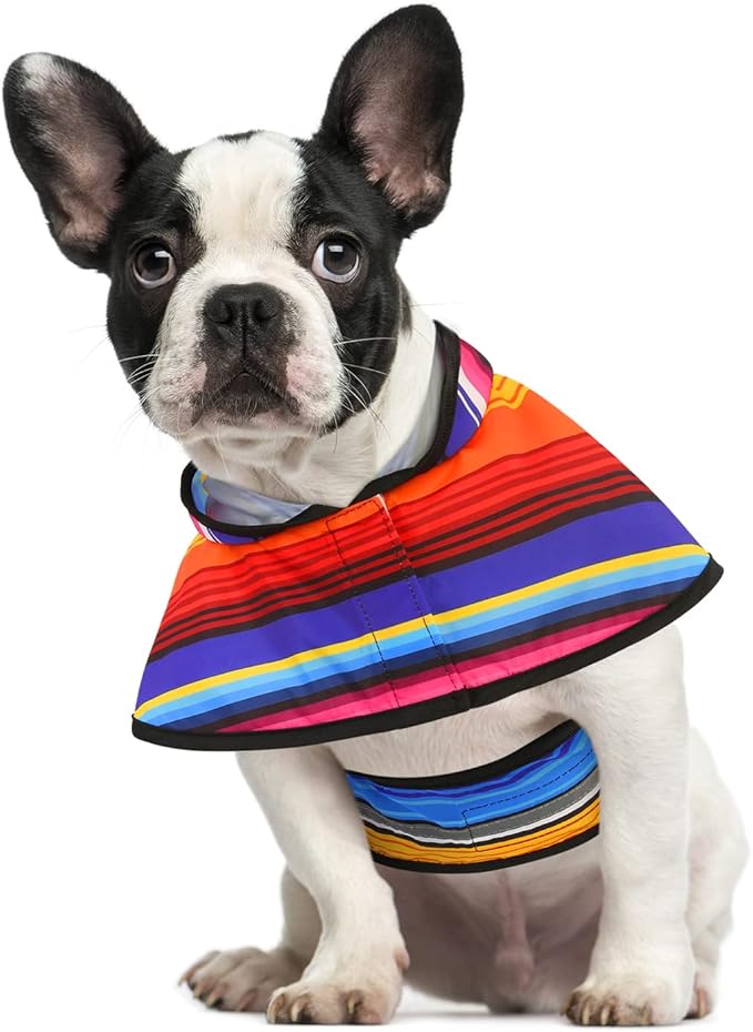 HDE Dog Raincoat Jacket Reflective Adjustable Hooded Pet Poncho Rain Coat with Leash Hole for Small to X-Large Dogs Baja Stripes - S