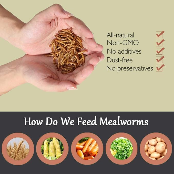 Non-GMO Dried Mealworms,2LB 100% Natural Large Size No Moisture,Treats for Birds Chickens Hedgehog Hamster Fish Reptile Turtles