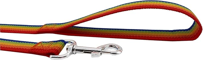 Nylon Dog Training Leash, Traction Rope, 4/5/6 Feet Long, 3/4 Inch 1 Inch Wide, for Small and Medium Dogs (1'' x 4 FT, Rainbow)
