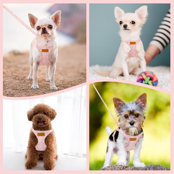 SlowTon No Pull Dog Harness with Leash - Soft Lightweight Floral Pattern Puppy Harness, Adjustable Pet Harnesses for Small Medium Dogs (Pink Daisy XS)