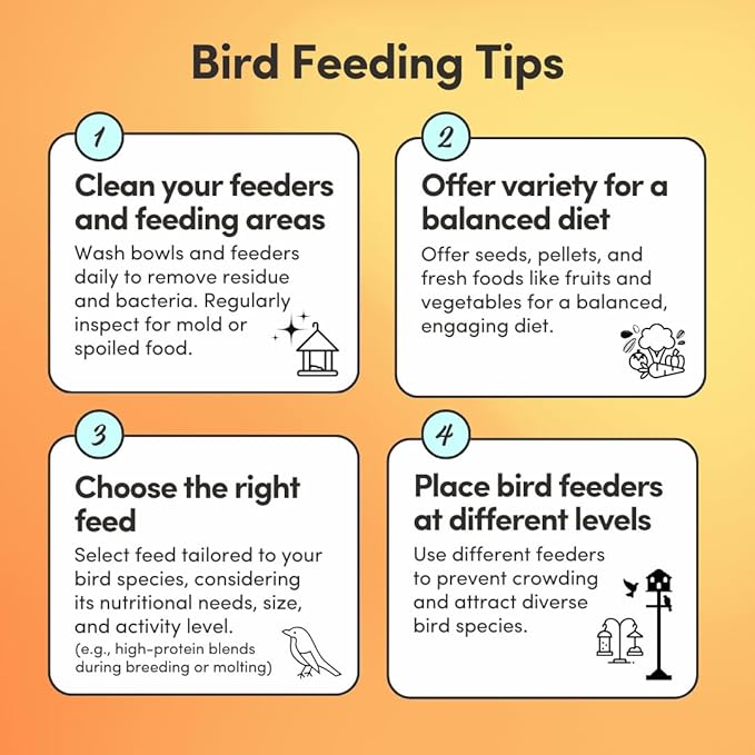 Mycelium Organic Cockatiel Plus Feed (5 LB Bag) | Complete Bird Seed Mix for Cockatiels with Vitamins & Minerals | Supports Digestion, Feather Health & Immune Function | Non-GMO, USA-Grown Ingredients