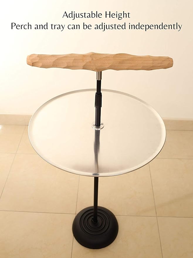 Parrot Training Perch Stand with Potty Tray (T Perch Hardwood, Small)