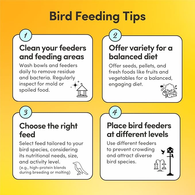 Mycelium Organic Cockatiel Superfood Bird Seed (5 LBS) | Premium Bird Food for Cockatiels & Small Parrots | Supports Immunity, Digestion & Development | Non-GMO, No Fillers, Made in USA