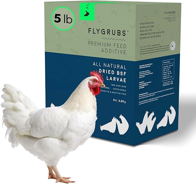 FLYGRUBS 5 lb Dried Black Soldier Fly Larvae - High-Calcium Chicken Treats for Laying Hens and Wild Birds - Nutrient-Rich Mealworm Alternative - Supports Feather Growth and Strong Eggshells