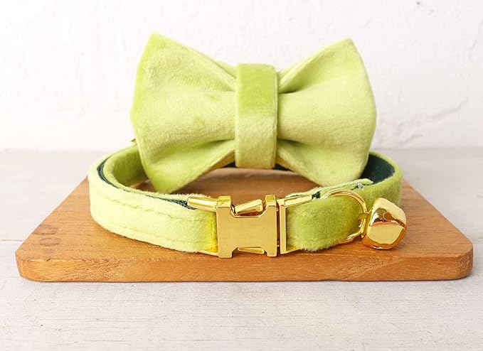 Cat Collar Personalized with Name Engraved and Bell, Customized Velvet Collars for Puppy Kittens (Moss Green, L)