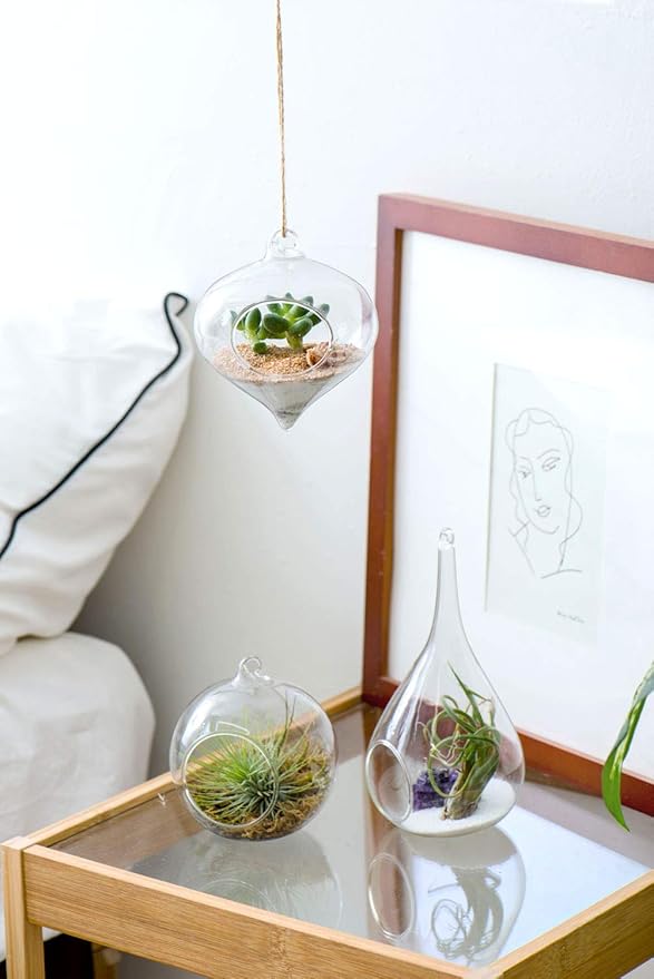 Mkono 3 Pack Glass Hanging Planter Air Fern Holder Terrarium Plants Hanger Vase, Home Christmas Decoration Gifts for Plant Lovers, Succulent Moss Tillandsias Air Plants Globe (Plant Not Included)