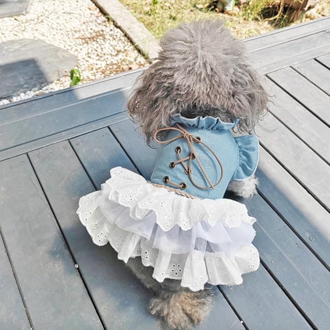 Girl Dog Denim Dress with Flared Sleeves Dog Jeans Jacket Blue White Puppy Clothes for Small Dogs Cat Apparel Cake Skirt Pet Outfit (Blue, Small)