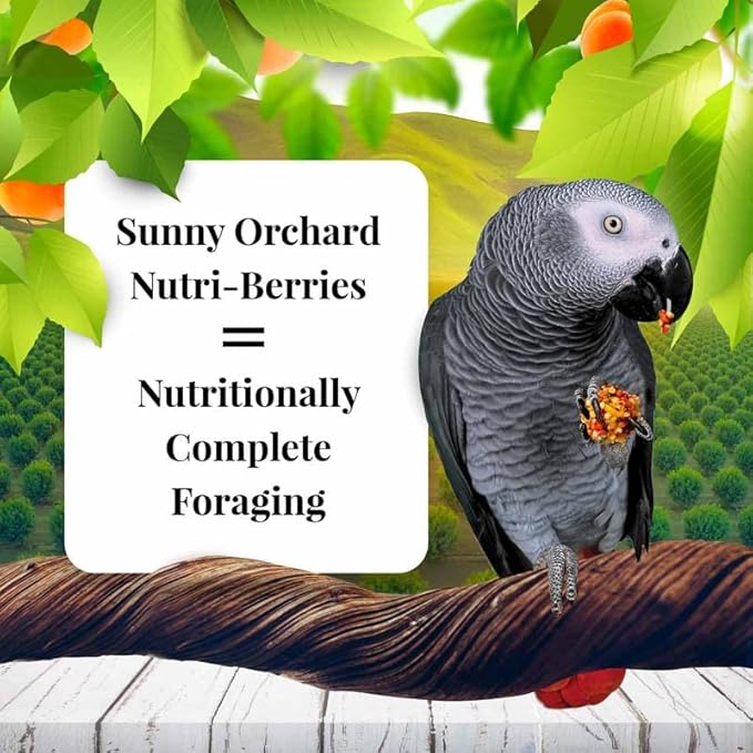 LAFEBER'S Sunny Orchard Nutri-Berries Pet Bird Food, Made with Non-GMO and Human-Grade Ingredients, for Parrots (10 oz Pack of 2)