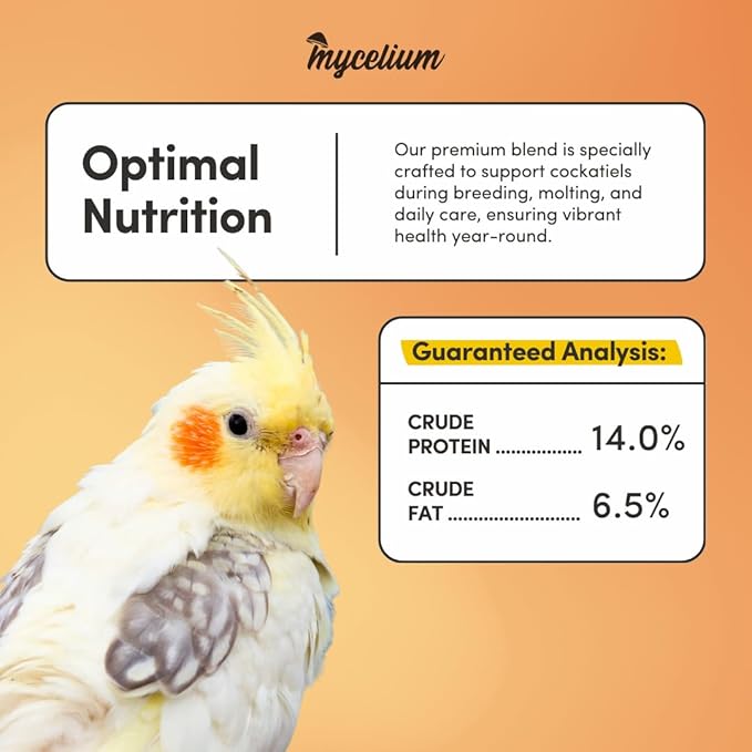 Mycelium Cockatiel Bird Food (5 LB Bag) | Organic Bird Seed for Cockatiels & Small Birds | Supports Feather Shine & Daily Energy | Premium Dust-Free Blend | Non-GMO & USA Made