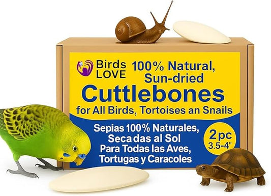 Birds LOVE Natural Cuttlebone for Birds & Reptiles – 100% Pure Sun-Dried Calcium Supplement – Supports Beak, Bone & Shell Strength – Safe Daily Use - 2 Pack with Holder, Size 3.5 to 4"