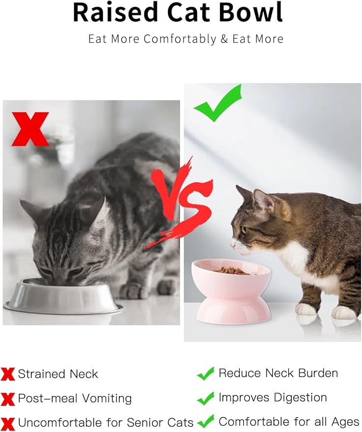 Cat Water Bowl, 16 OZ Ceramic Elevated Cat Bowls, 15° Tilted and Raised Pet Food Dish, Anti Vomiting Protect Pets' Spines and Whisker Fatigue