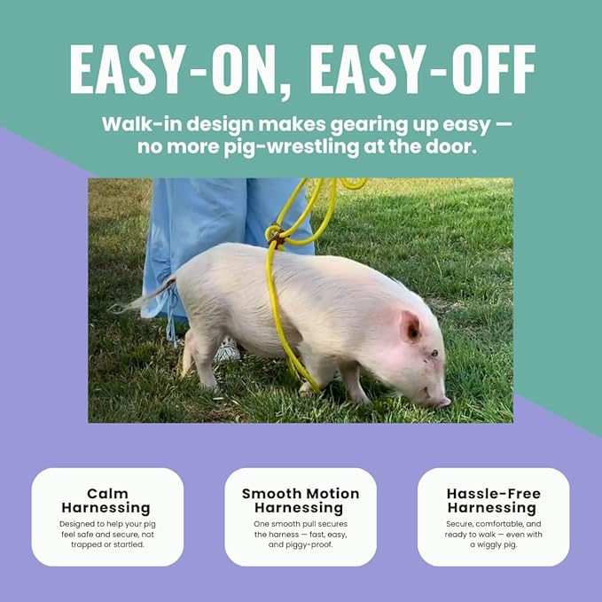PORCINE® Mini Pig Harness & Leash – Fully Adjustable Step-in Harness with Infinity-Style Lead - Ideal for Small & Medium Potbelly Pigs – Durable, Comfortable, Easy-On Easy-Off (Small Mauve Pink)