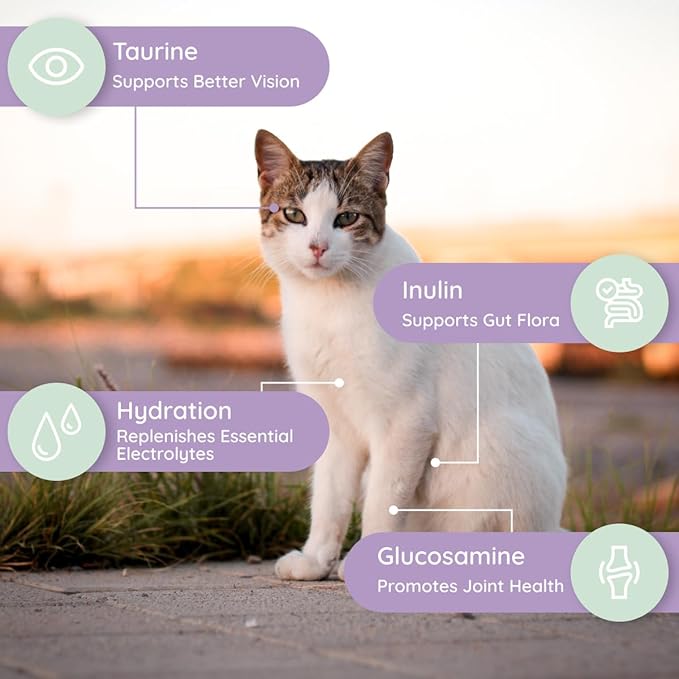 Petralyte Cat Hydration Electrolyte and Cat Joint Supplement | Hydration Support for Cats w/Glucosamine, Chondroitin, L-Glutamine, Taurine, Lysine & Prebiotics | Unflavored | 16 Packets