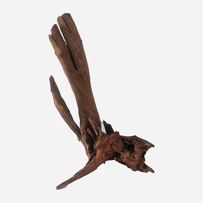 LYPHARD AQUARIUMS Natural Driftwood for Aquarium Decor, L12.2×W9.45×H19.69 Inches Large Drift Wood Decorations for Reptile Hide, Fish Tank, Optional Shapes