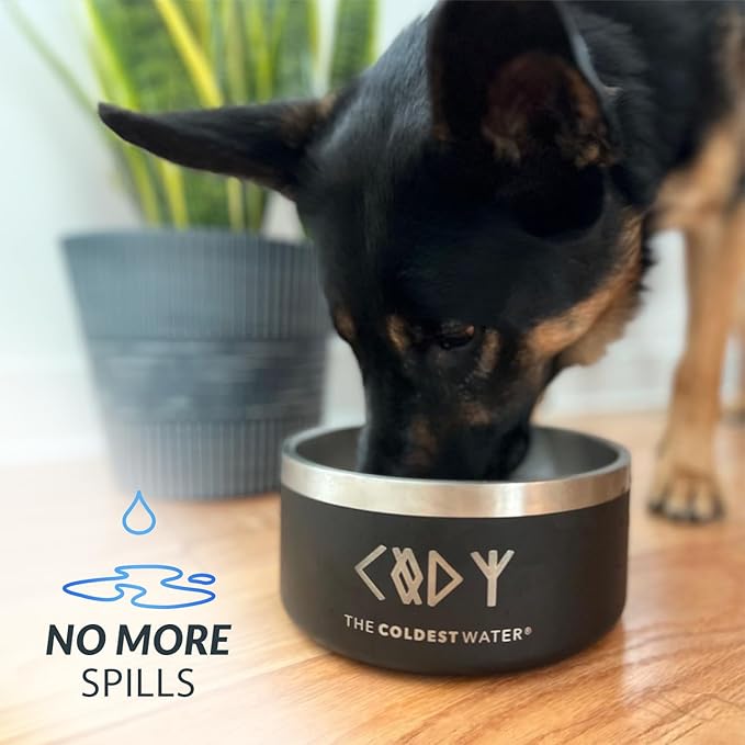 Coldest Dog Bowl - Anti Rust Metal, Non Slip, 3 Layers Insulated Stainless Steel Dog Bowls - Spill Proof & Heavy Duty - Water Bowl for Dogs, Cats & Pets, Dish Washer Safe (200 oz, Cotton Candy Pink)