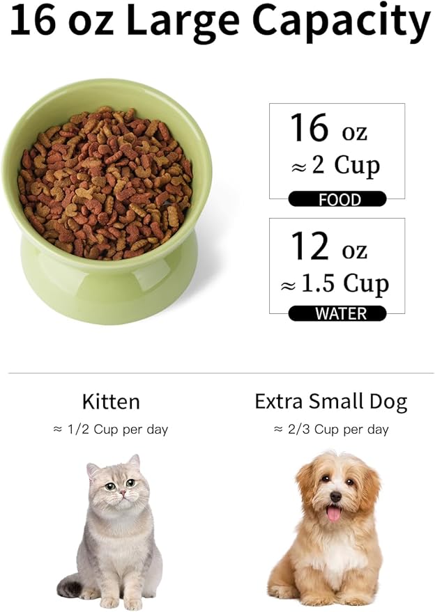 Cat Water Bowl, 16 OZ Ceramic Elevated Cat Bowls, 15° Tilted and Raised Pet Food Dish, Anti Vomiting Protect Pets' Spines and Whisker Fatigue