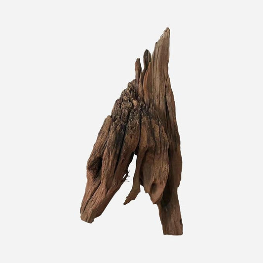 LYPHARD AQUARIUMS Natural Driftwood for Aquarium Decor, L10.63×W10.63×H18.9 Inches Large Drift Wood Decorations for Reptile Hide, Fish Tank, Optional Shapes