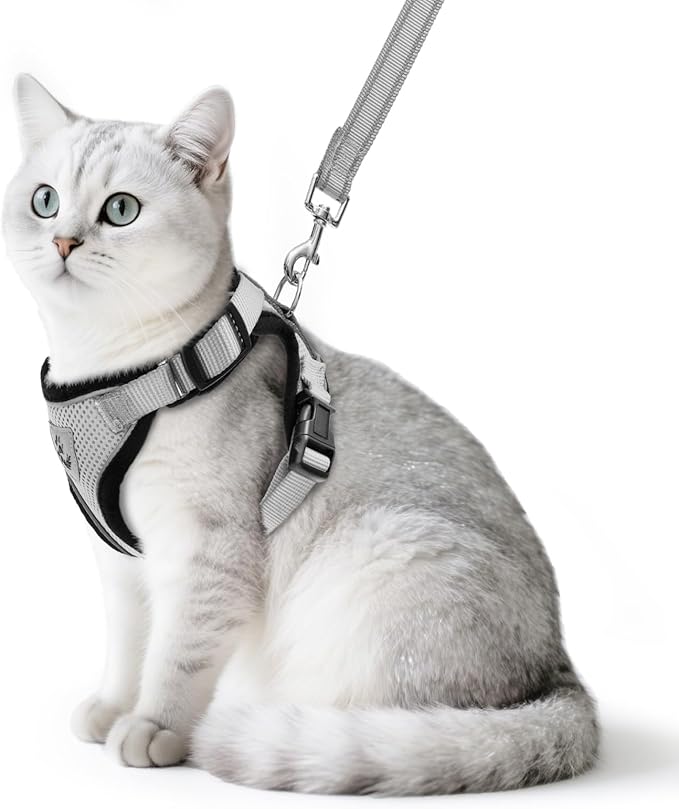 PUPTECK Cat Harness and Leash Set Escape Proof Reflective Cat Walking Harness Adjustable Soft Breathable Mesh Vest for Small Pets, Grey, M