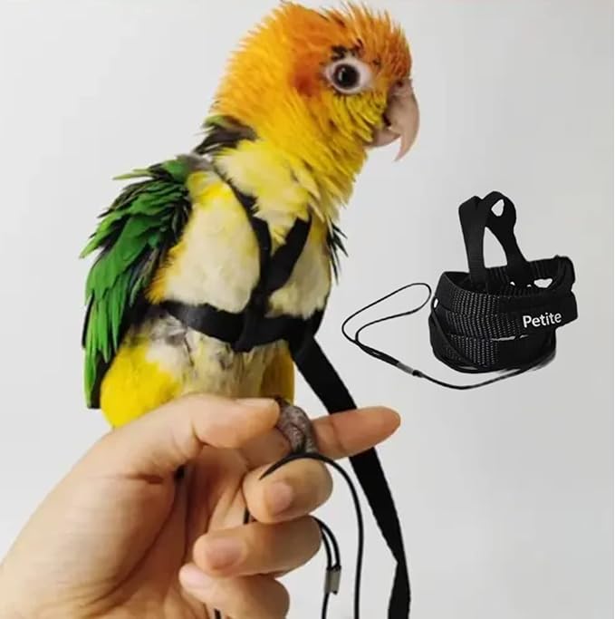 Adjustable Bird Harness with 78.7 Inch Leash, Outdoor Flying Training Rope Kit for Bird Parrots, Parrot Flying Rope Straps Outdoor Training Traction Rope for Small Medium Large Size Birds (Petite)