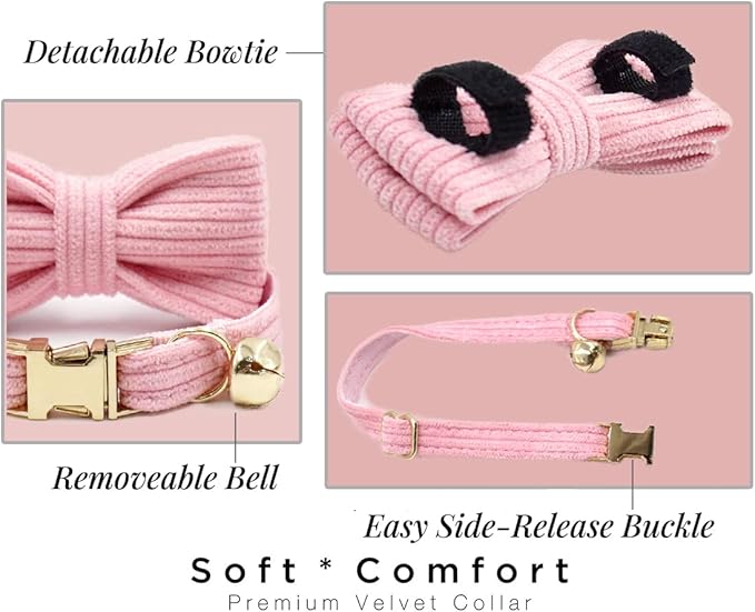 Personalized Cat Collar with Engraved Name Phone Number for Boy and Girl Kitten