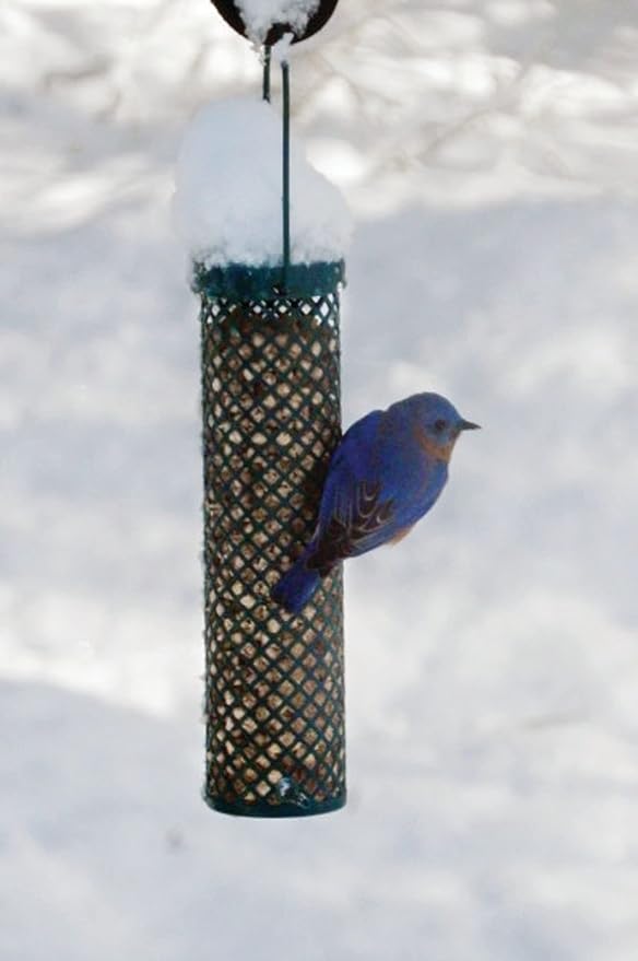 C&S CS06110 Sunflower Suet Nuggets, 27-Ounce (Pack of 2)