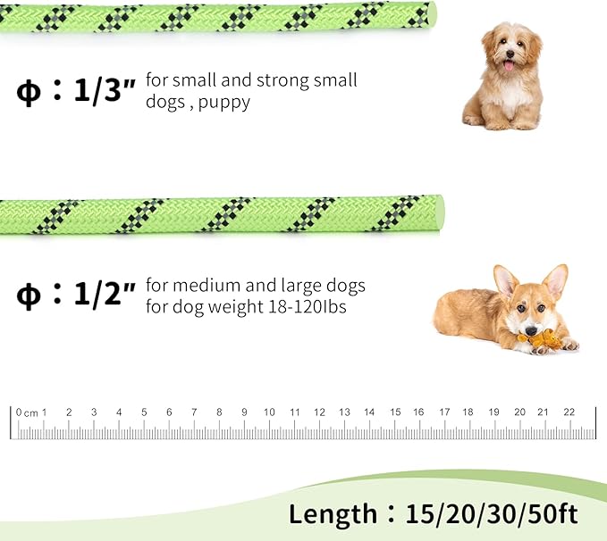 Long Dog Leash for Training 30Ft-Reflective Nylon Rope with Swivel Hook-Recall Agility Lead for Large Small Medium Dogs Outside Walking Hiking-Green