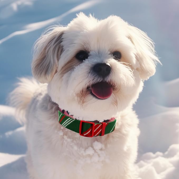 Green Red Dog Collar and Leash Set for Medium Size Dog, Breathable, Anti-Odor & Soft, Comfortable for Sensitive Skin Puppies, 90% Bamboo Rayon, Quick Release Buckle Pet Collar for Medium Breeds