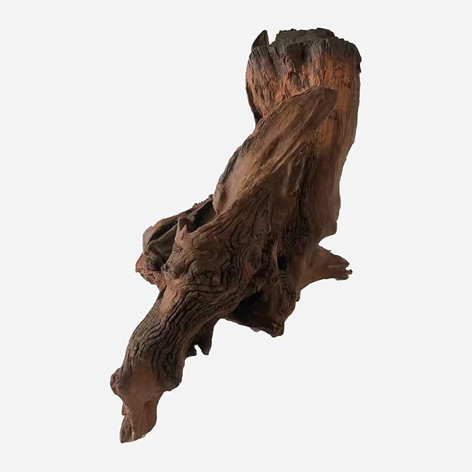 LYPHARD AQUARIUMS Natural Driftwood for Aquarium Decor, L13.78×W10.24×H9.84 Inches Large Drift Wood Decorations for Reptile Hide, Fish Tank, Optional Shapes