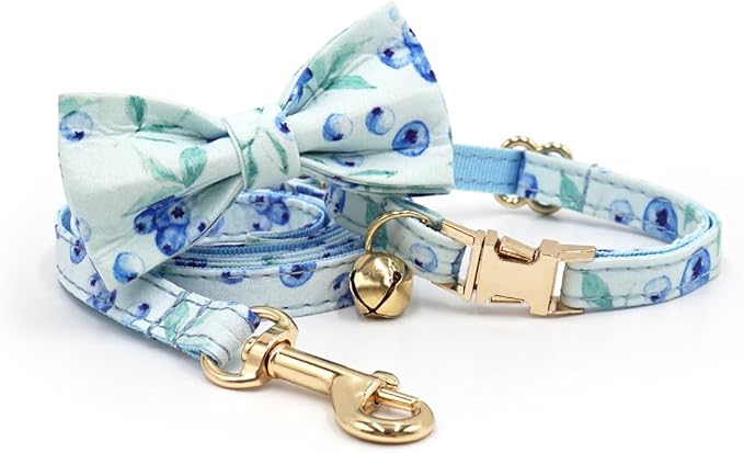 Personalized Cat Collar with Engraved Name Phone Number for Boy and Girl Kittens (Fruit)