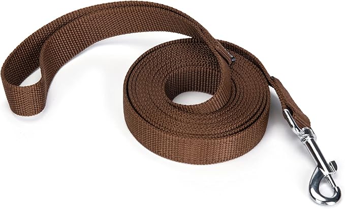 Strong Durable Nylon Dog Training Leash, 1 Inch Wide Traction Rope, 6 ft 10ft 15ft Long, for Small and Medium Dog (Brown, 10 Feet)