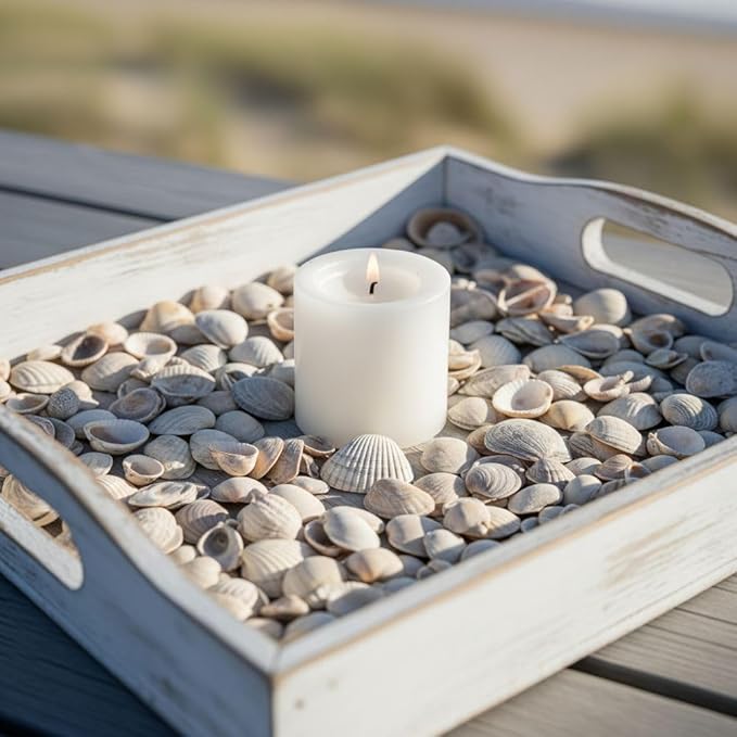 32 oz Jug of Natural Small Seashells with Pieces, ⅛-½ inch Size, for Indoor Outdoor Decor, vase Filler, Candles, Art, Crafts, Aquariums, Gardens, planters, tablescapes, terrariums