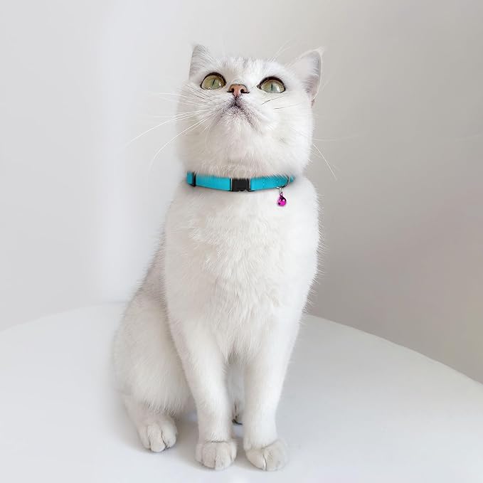 Breakaway Cat Collar Leather with Removable Bell - 13 Colors Available - Soft Adjustable Girl Boy Safety Lightweight Pet Kitten Collars Pink Brown Blue Green Red Orange Black (Denim)