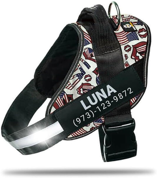 Personalized No-Pull Dog Harness with Name Patch, Adjustable, Reflective, Padded, Heavy Duty Pet Vest to Prevent Tugging, Pulling, or Choking, Training and Walking, USA, S