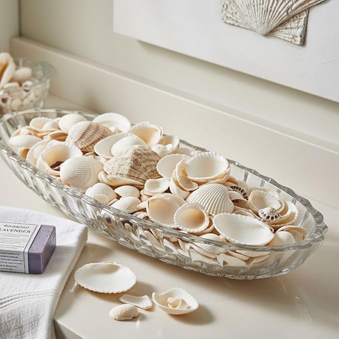 32 oz Jug of Natural Medium Seashells, 1½-3 inch Size, for Indoor Outdoor Decor, vase Filler, Candles, Art, Crafts, Aquariums, Fairy Gardens, planters, tablescapes, terrariums