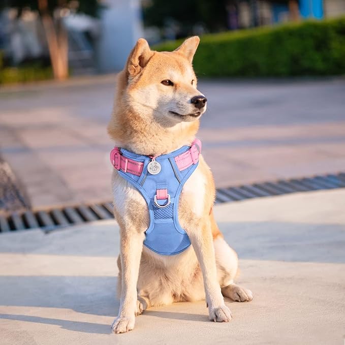 PHOEPET No Pull Dog Harness, Unique Colors Reflective Adjustable Dog Vest, with Soft Training Handle Metal Clips for Small Medium Large Dogs (Baby Blue Base & Pink Straps,M)