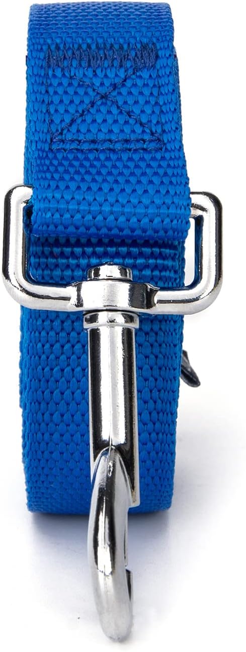 Strong Durable Nylon Dog Training Leash, 1 Inch Wide Traction Rope, 6 ft 10ft 15ft Long, for Small and Medium Dog (Blue, 6 Feet)