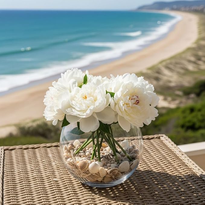 32 oz Jug of Natural Small Seashells with Pieces, ⅛-½ inch Size, for Indoor Outdoor Decor, vase Filler, Candles, Art, Crafts, Aquariums, Gardens, planters, tablescapes, terrariums