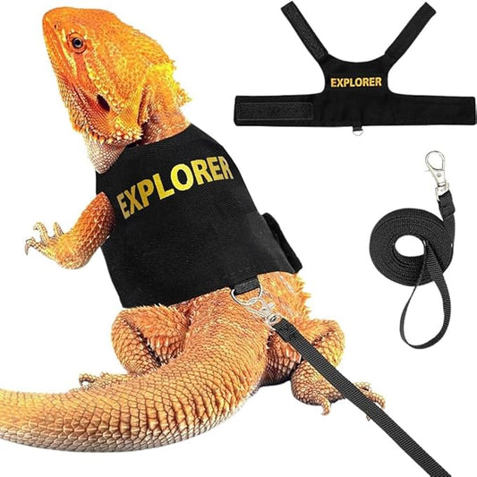 Reptile Leash Harness Soft Padding Dragon Wings Vest with Hook and Loop for Small Animals Cute Security Clothes (Explorer)