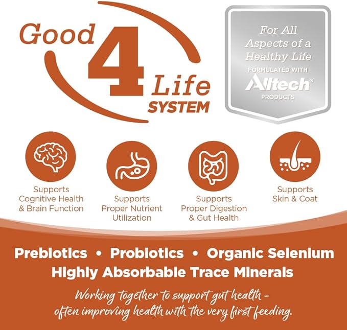 NutriSource Harvest Selects Hunter's Bounty Dog Cans, Premium Wet Dog Food, 12.3 Ounce (Pack of 12)