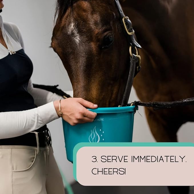 GALLAGHER'S WATER 2 Pack All-Natural Equine Hydration Treat - Enhancement Powder Mix Horse Drink Treat to Help Encourage to Drink Water - Made with All Natural Ingredients, FEI Compliant